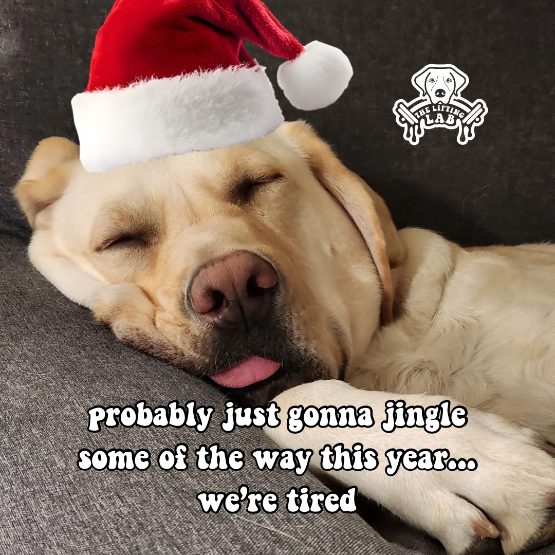 ✨ MEME MONDAY IS BACK (and so are we lol) ✨
 We know… we ghosted you insta 🙈 AND WE’RE SO SORRY!!! December hit us like a rough leg day and we’ve been jingling some of the way through it 🫠😂
 But we’re back! We’re tired, caffeinated, and ready to laugh with you again 🎄

💛 To say sorry to our members for going AWOL: we’re gifting you a FREE guest pass this week!
 All you have to do is: 1️⃣ Share your favorite Meme Monday post to your story 2️⃣ Tag @the.lifting.lab

That’s it! Text us at 567-250-2578 for your guest pass! Bring a friend for laughs, lifts, or emotional support this cold December week 😌

Cheers to a week of memes, movement, and jingly-ish motivation

#FindlayOhio #MemeMonday #LiftLaughLove #GymHumor #GymBestie 💛🐾