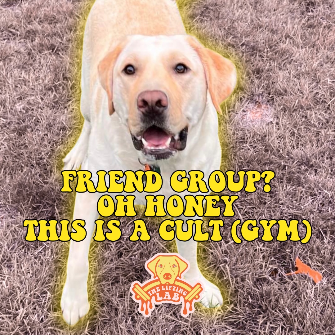 …it’s here!!! Member Appreciation March!!!!!!

And we are so happy yall decided to join our hippie gym lol 

This March we want to thank YOU for being so kind and supportive of our small business over the years! 

To show how appreciative we are we wanted to give some stuff away!!!! 

For the ENTIRE MONTH OF MARCH:
🔥We are rewarding our members who refer their friends with a FREE MONTH of gym membership PER FRIEND they refer that signs up for a 12 month gym membership!🔥

AND 

🔥We’re giving each member who hasn’t taken advantage of their intial free 30min personal training session another chance to take advantage of that!🔥
🔥Message us START to set that up!🔥

If you’re new to the gym, we promise we aren’t that scary and Oskee makes it feel a lot safer to start! We would love to meet you and show you our female-focused but open to all gym!! 💕

#247gym #girlgym #memberappreciation #giveaway #freebie