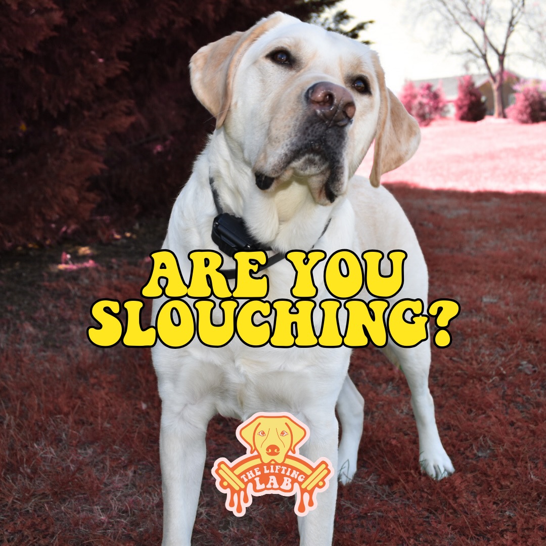 It’s ironic cause I’m slouching posting this lol

We’re giving free guest passes away for the week in honor of our first 1-star review lol 😂💅

If yall love us and want to show it we’d appreciate a google review but no pressure 

It’s unfortunate some people view us enforcing our policies as sexist but we really do care about having quality members here. That means honest, respectful, kind, and accountable members that uphold our values as well 🤷‍♀️ 

Happy meme Monday yall 😂😘

#24HourGym #theliftinglab #femalefocused #boundaries #girlhumor