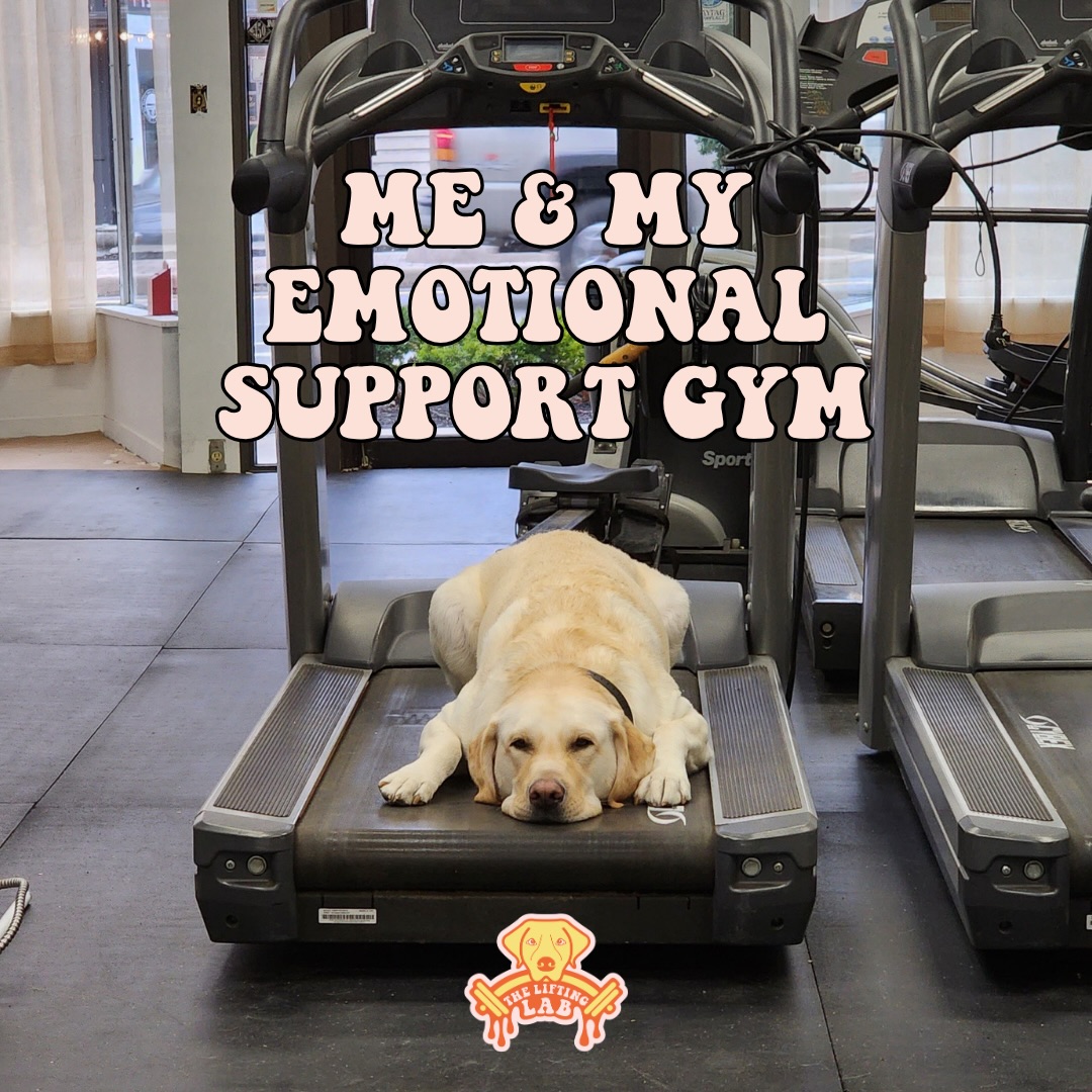 Happy Meme Monday all our Easter peeps 🐥 we hope u had a great weekend with great weather and got to enjoy the beautiful green grass 🤩 and if that’s not your cup of tea, you can come enjoy the beautiful black rubber mat flooring at the gym 😂😂

#mememonday #easter #personaltrainer #healthcoach #24HourGym