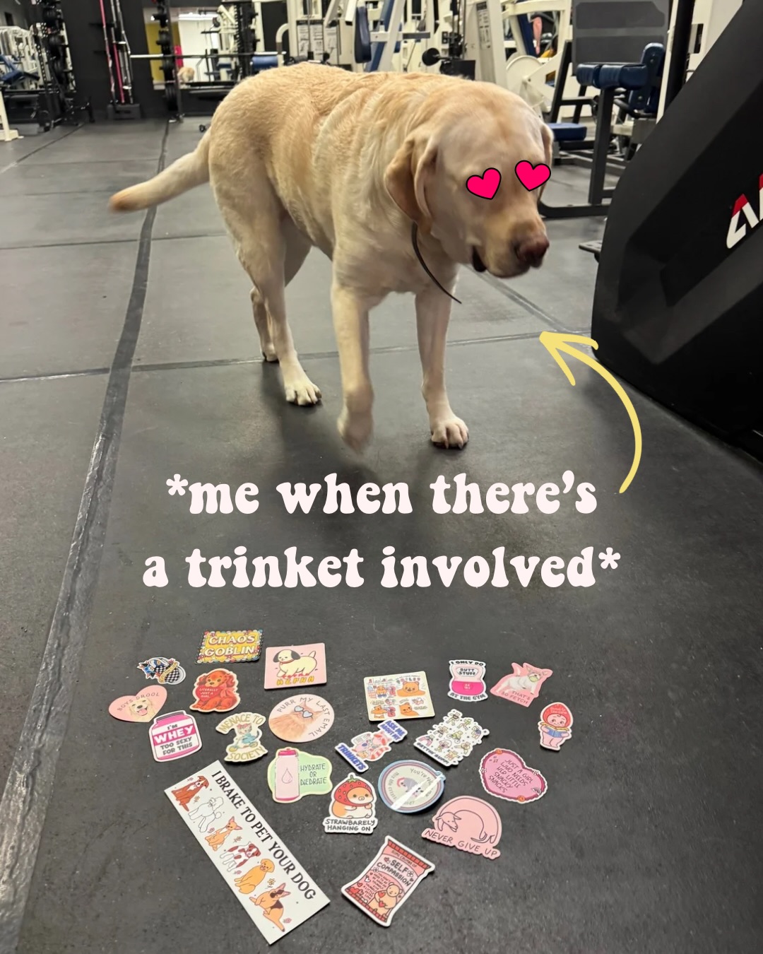 ‼️ We’re doing meme Monday a little different this week… cause WE’RE GONNA BE AT A CRAFT SHOW THIS WEEKEND! ‼️

Come check out our booth at the Hancock Co Home & Craft Show @ the fairgrounds this Saturday, April 18 from 9am to 3pm!!! 

We’ll have fun stickers and keychains as well as discounted gym membership fees and discounted personal training sessions! 

Plus who doesn’t love a craft show, supporting local vendors, and some trinkets 🤩😌

#craftshow #hancockcounty #findlayohio #24hourfitness #trinkets