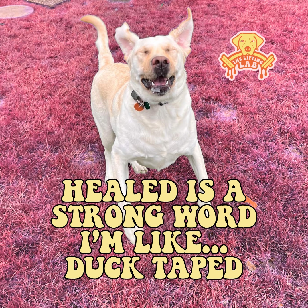 happy meme monday to all my duck-taped, barely hanging on baddies 😂 (and those of you that have got it together if that even exists lol) 

Doesn’t matter who you are deep down! We love you all!! And no matter what we are here to support you at any point in your gym journey! 

Repost your favorite meme and one of our pinned posts to your story for a free guest pass this week!! 

#mememonday #gymhumor #girlhumor #girlgym #meme