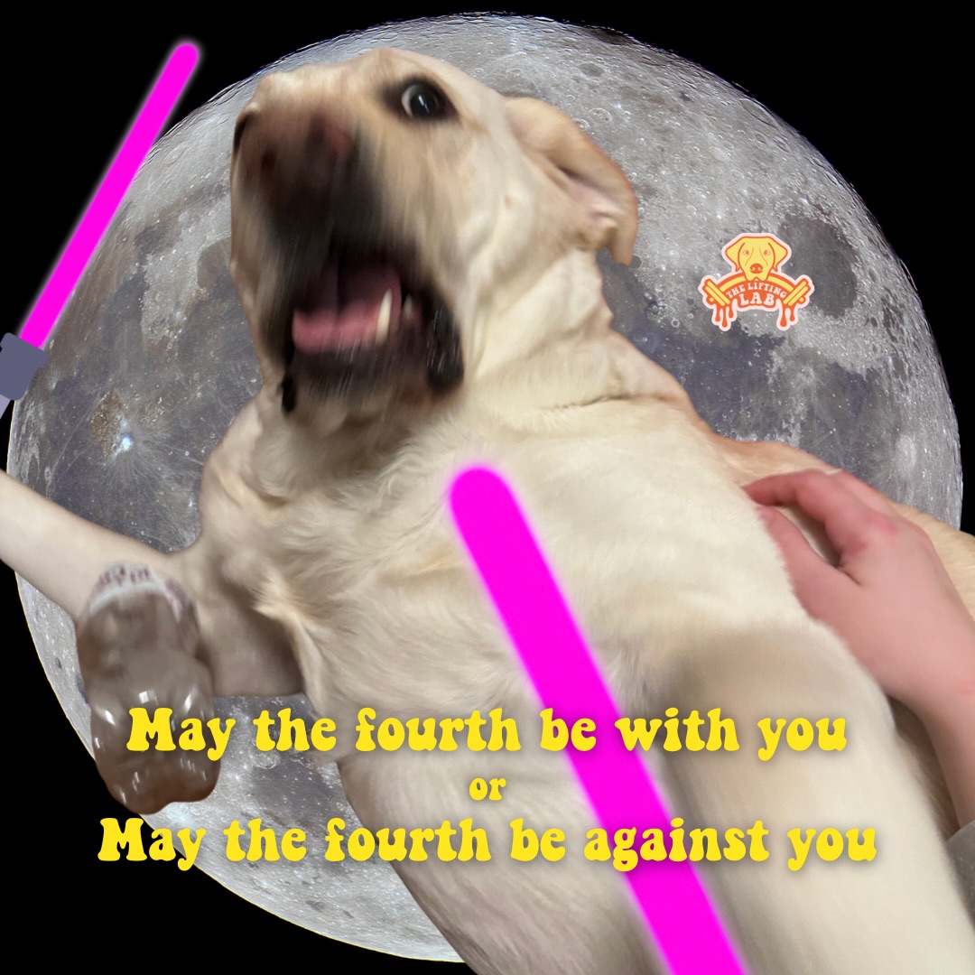 Either way, we’ve still got your back lol

Happy meme Monday May 4th yall!!!! We wanted to honor our members by giving everyone a free guest pass to use this week if they reshare one of our pinned posts to their stories today! 

#maythefourth #mememonday #gymhumor #starwars #gymdog