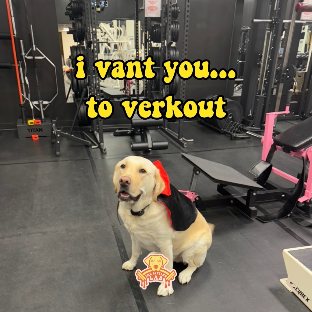 🧛🏻‍♂️ more specifically he vants you to join The Lifting Lab 🧛🏻‍♂️ 

What can we say 🤷‍♀️ Oskee makes the rules. And one rule he decide to make this #mememonday was for us to give away a free guest pass to all our members that share this meme to their stories and comment what they vant to do this October in the comments below! 👇 

#theliftinglab #gym #gymhumor #findlayohio