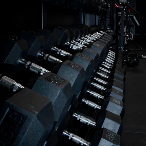 TheLiftingLab.Equipment-17