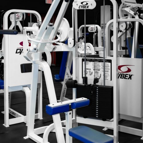 TheLiftingLab.Equipment-28