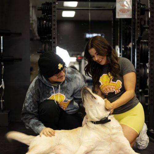 TheLiftingLab.HomePageCarousel-03