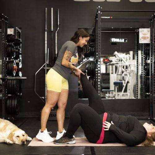 TheLiftingLab.HomePageCarousel-05