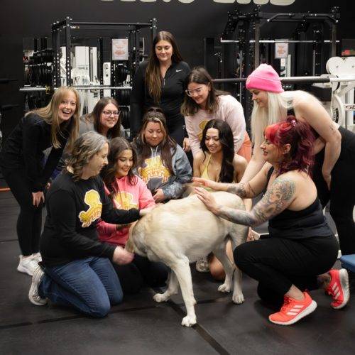 TheLiftingLab.HomePageCarousel-11